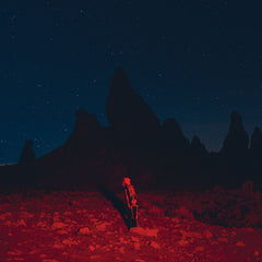 Phoebe Bridgers | Punisher | Album