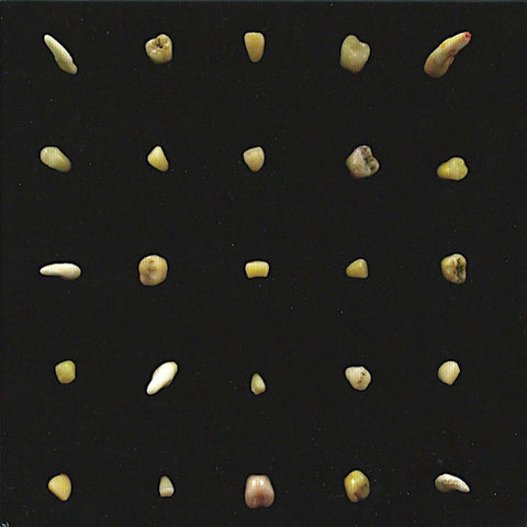 Clipping | Visions of Bodies Being Burned | Album-Vinyl
