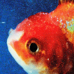 Vince Staples | Big Fish Theory | Album