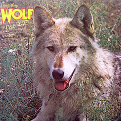 Darryl Way's Wolf | Canis Lupus | Album