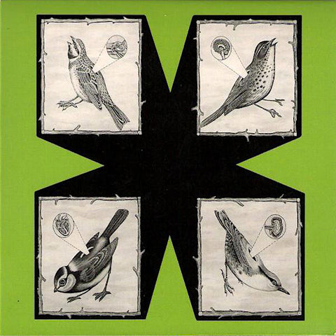 North Sea Radio Orchestra | Birds | Album-Vinyl