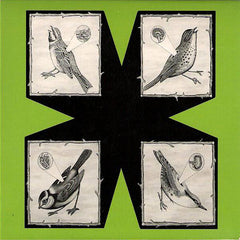 North Sea Radio Orchestra | Birds | Album
