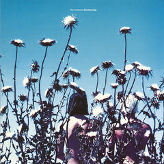 The Creatures | Boomerang | Album