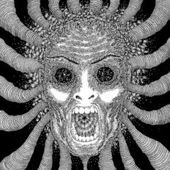 Ty Segall | Slaughterhouse | Album