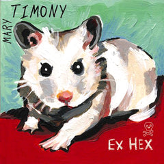 Mary Timony | Ex Hex | Album