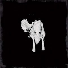 Sigur Rós | Kveikur | Album