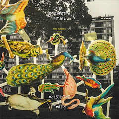 Fire! Orchestra | Ritual | Album