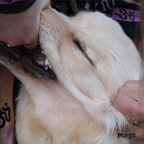 Fennesz | It's Hard For Me To Say I'm Sorry (w/ Jim O'Rourke) | Album-Vinyl