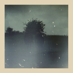 Bremer/McCoy | Forsvinder | Album