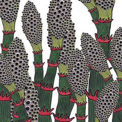 Part Chimp | IV | Album