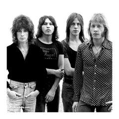 Raspberries |  Artist
