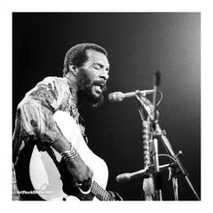 Richie Havens |  Artist