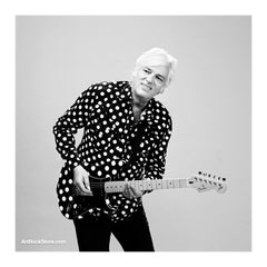 Robyn Hitchcock |  Artist
