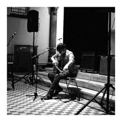 Six Organs Of Admittance |  Artist