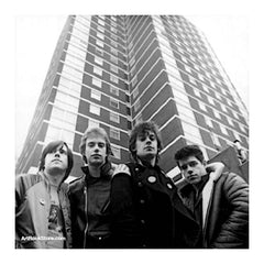 Stiff Little Fingers |  Artist
