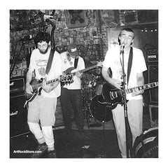 Sunny Day Real Estate |  Artist