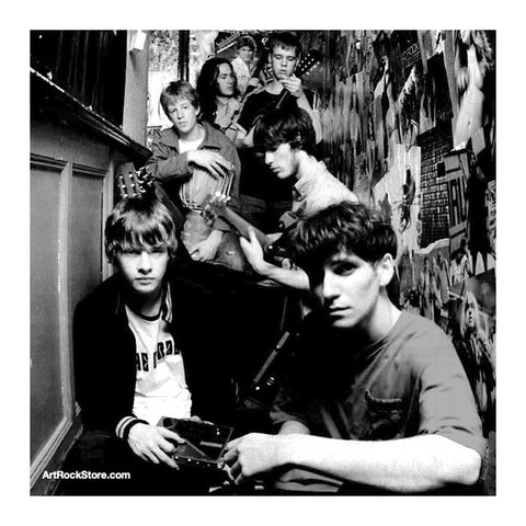 The Coral | Artist