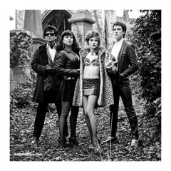 The Cramps |  Artist