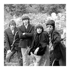 The Creation |  Artist