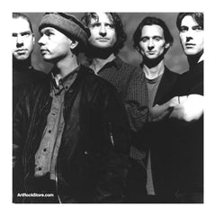 The High Llamas |  Artist