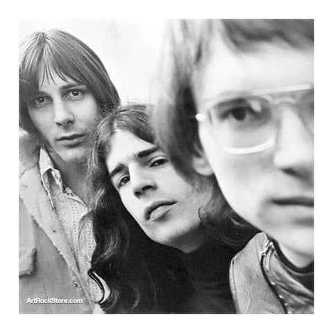 The Mandrake Memorial | Artist