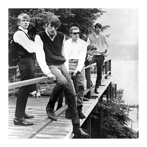 The Sonics | Artist