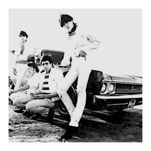 The Barracudas | Artist
