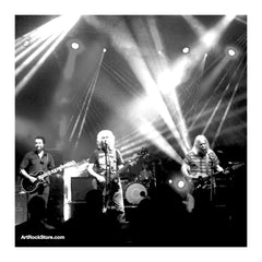 The Bevis Frond |  Artist