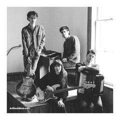 The Felice Brothers |  Artist