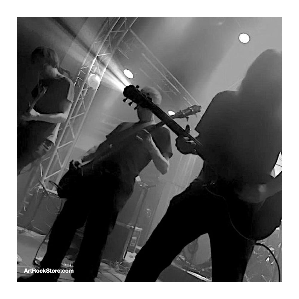 The Heads | Artist