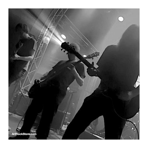 The Heads | Artist