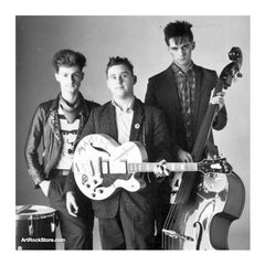 The Meteors |  Artist