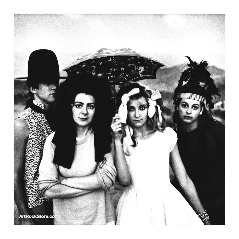 The Slits | Artist