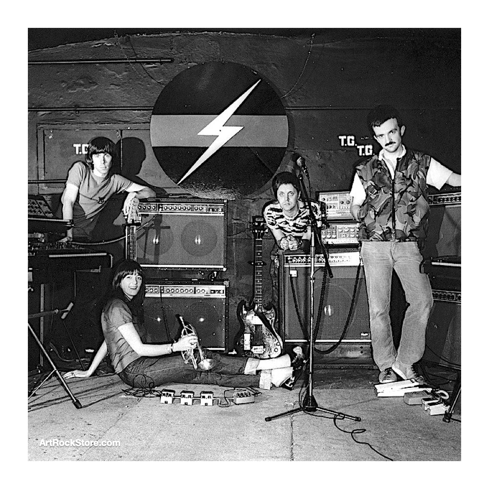 Chris & Cosey　throbbing gristle 3枚アナログ Chris and Cosey Reflect on Throbbing Gristle's Legacy