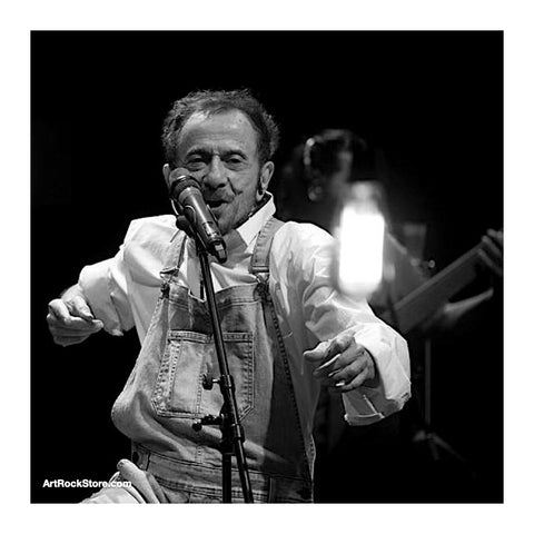 Tom Zé | Artist