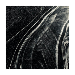 Lou Rogai | Cathedral | Album