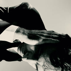 Andrew Bird | Inside Problems | Album