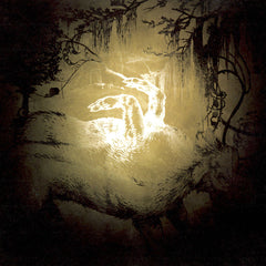 Polar Bear | Held on the Tips of Fingers | Album