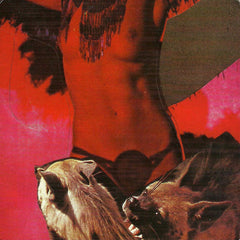 The Warlocks | Heavy Deavy Skull Lover | Album