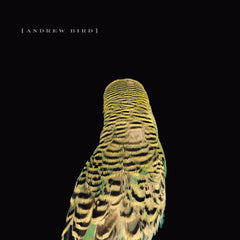 Andrew Bird | Armchair Apocrypha | Album