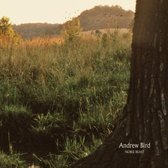 Andrew Bird | Noble Beast | Album