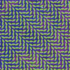 Animal Collective | Pavillon Merriweather Post | Album