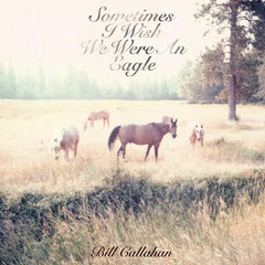 Bill Callahan | Sometimes I Wish We Were An Eagle | Album