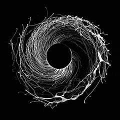 Dawn of Midi | Dysnomia | Album