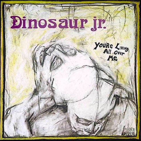 Dinosaur Jr | You're Living All Over Me | Album-Vinyl