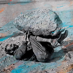Les épées de la forêt | Compassion | Album