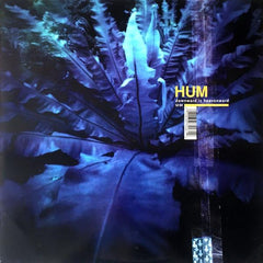 Hum | Downward is Heavenward | Album