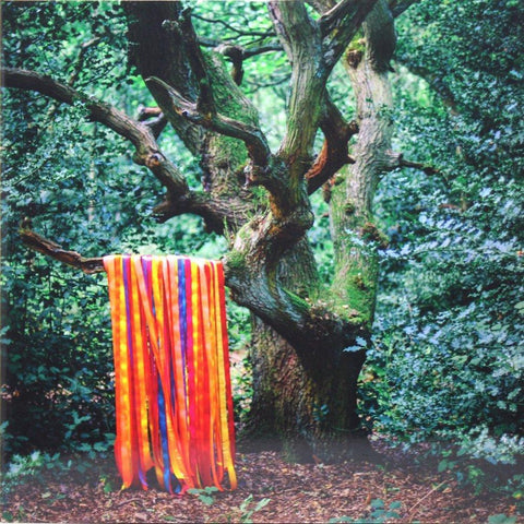 James Holden | The Animal Spirits | Album-Vinyl
