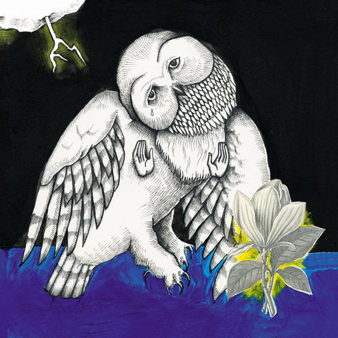 Magnolia Electric Co | Magnolia Electric Co | Album-Vinyl