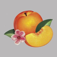 Phoenix | Bankrupt! | Album